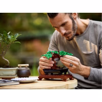 Конструктор LEGO Creator Expert Дерево бонсай 878 деталей (10281) - Image 11