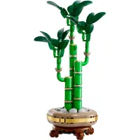 Конструктор LEGO Botanicals Бамбук щастя (10344) - 2
