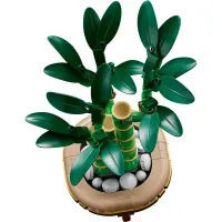 Конструктор LEGO Botanicals Бамбук щастя (10344) - 3