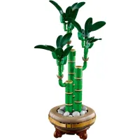 Конструктор LEGO Botanicals Бамбук щастя (10344) - 4