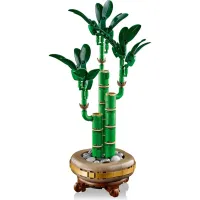 Конструктор LEGO Botanicals Бамбук щастя (10344) - 5