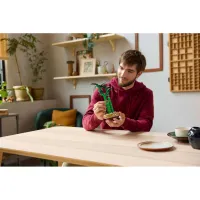 Конструктор LEGO Botanicals Бамбук щастя (10344) - 8