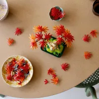 Конструктор LEGO Botanicals Бонсай з японського червоного клена (10348) - 9