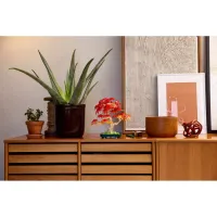 Конструктор LEGO Botanicals Бонсай з японського червоного клена (10348) - 10