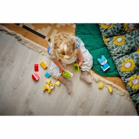 Конструктор LEGO DUPLO My First Чарівні творчі домашні улюбленці 3 в 1 (10477-) - Image 10