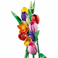 Конструктор LEGO Botanicals Букет тюльпанів (11501) - Image 3