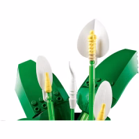 Конструктор LEGO Botanicals Спатифиллум (11504) - Image 3