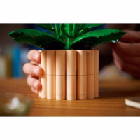 Конструктор LEGO Botanicals Спатифиллум (11504) - Image 9
