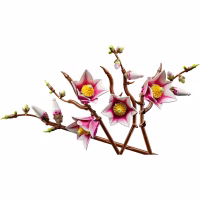 Конструктор LEGO Botanicals Magnolia Branches (11510) - Image 3