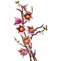 Конструктор LEGO Botanicals Magnolia Branches (11510) - Image 5