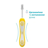 Детская зубная щетка Chicco для первых зубьев, 6-36 мес., 2 шт. (8058664174713) (12082.11) - Изображение 2