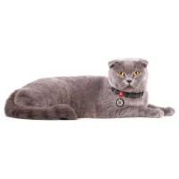 Нашийник для тварин WAUDOG Re-cotton з QR паспортом для котів та дрібних порід собак XS сірий (164011) - Зображення 4