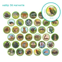 Навчальний набір DoDo Магнітний набір Монтесорі Тварини на континентах: Африка (200284) - 4