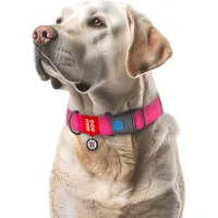 Нашийник для тварин WAUDOG Waterproof з QR паспортом пластиковий фастекс XXL рожевий (25117) - 4