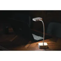 Настільна лампа 2E 5Вт 5000K 1200мАг USB-A без БЖ білий (2E-DL1216) - 11