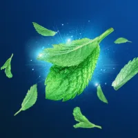 Зубна нитка Oral-B Essential floss Waxed м'ятна 50 м (3014260280772/5010622005029) - 7