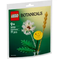 Конструктор LEGO Botanicals Польові квіти (30701) - 1