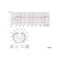 Мікрофон AKG P170 (3101H00410) - 3