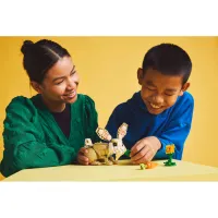 Конструктор LEGO Creator Чарівне кроленя (31162) - 10