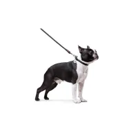 Повідець для собак WAUDOG Glamour круглий XS d 8 мм Д 122 см чорний (33771) - 3