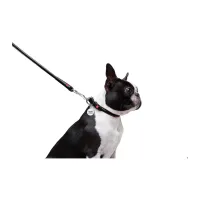 Повідець для собак WAUDOG Glamour круглий XS d 8 мм Д 122 см чорний (33771) - 4