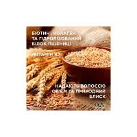 Набір косметики OGX Біотинова формула з колагеном для об'єму та зміцнення волосся Шампунь + Кондиціонер (3574661864952) - Зображення 5