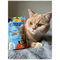 Ласощі для котів GimCat Nutri Pockets Fish Лосось 60 г (4002064419626) - 7