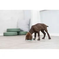 Посуд для собак Trixie Миска «Junior» для повільного годування 15 см (м'ятний) (4011905349541) - 6