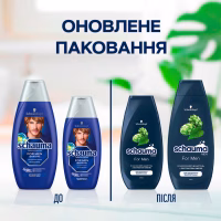 Шампунь Schauma Men з екстрактом хмелю для щоденного догляду 250 мл (4012800567658) - Image 3