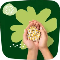 Гігієнічні прокладки Naturella Classic Night 7 шт (4015400437543) - 7