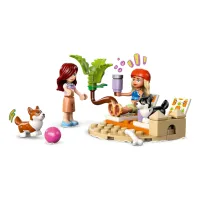 Конструктор LEGO Friends Собачі пригоди на серфі та скутері (42641) - 4