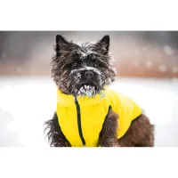 Курточка для тварин Collar AiryVest "Colors of freedom" XS 25 (4440-4020) - 2