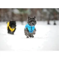 Курточка для тварин Collar AiryVest "Colors of freedom" XS 25 (4440-4020) - 7