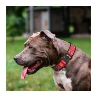 Нашийник для тварин WAUDOG Nylon з QR паспортом "Етно червоний" металева пряжка-фастекс XXL (4535-0133) - 3