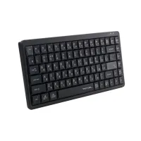 Клавіатура A4Tech FX53 USB UA Black (4711421002394) - 2