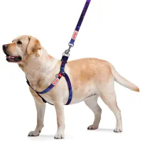 Шлея для собак WAUDOG Nylon з QR-паспортом "NASA21" S (4800-0148) - 2