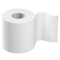 Туалетний папір Диво Econom 2 шари білий 4 рулони (4820003832066) - 2