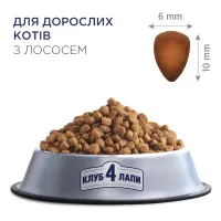 Сухий корм для кішок Club 4 Paws Преміум. З лососем 300 г (4820083909221) - 3