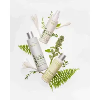 Шампунь Comex з індійських трав 250 мл (4820230950458) - 2