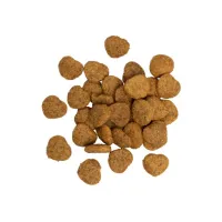 Ласощі для котів Savory для здорового росту кошенят, індичка з журавлиною 50 г (4820232631393) - 2