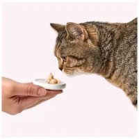 Ласощі для котів Delickcious ягня з додаванням коричневого рису та цукіні 4х15 г (4820269145368) - 8