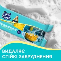Губки кухонні Pani Blysk Пористі 5 шт. (4823071661194) - 3