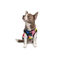 Борцівка для тварин Pet Fashion Cool M різнобарвна (4823082420193) - 3