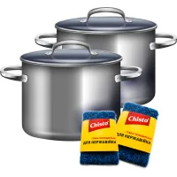 Губки кухонні Chisto для нержавійки 1 шт. (4823098413790) - 2