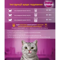 Вологий корм для кішок Whiskas Лосось у соусі 85 г (5900951302053) - 5
