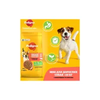 Сухий корм для собак Pedigree для малих порід з яловичиною та овочами 12 кг (5998749120910) - 2