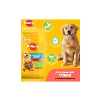 Сухий корм для собак Pedigree з яловичиною та овочами 12 кг (5998749145043) - Зображення 2