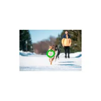 Іграшка для собак Collar PitchDog Кільце для апортування 17 см салатове (62365) - 5