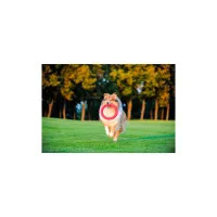 Іграшка для собак Collar PitchDog Кільце для апортування 17 см рожеве (62367) - Зображення 8