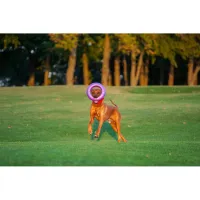 Іграшка для собак Puller Maxi 30 см (6492) - 5